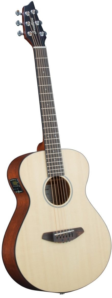 breedlove passport travel guitar