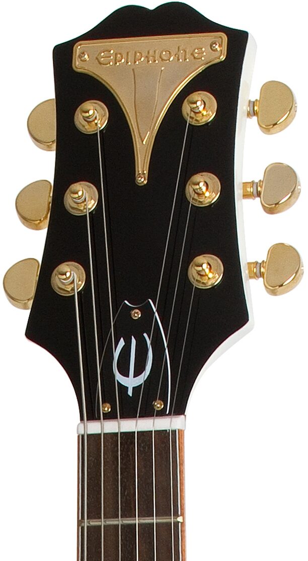 epiphone wildkat royale case