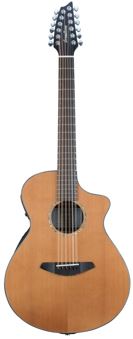 breedlove solo 12