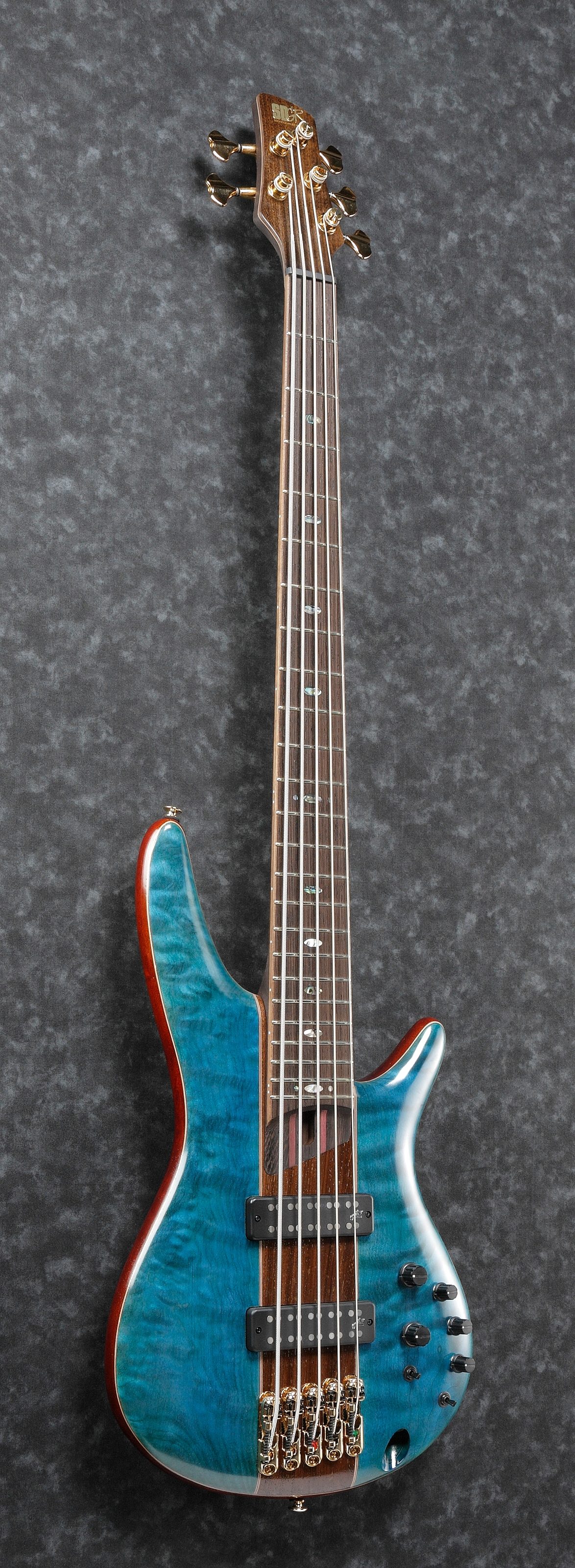 ibanez sr 2405