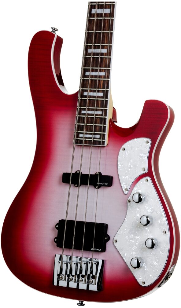 schecter stargazer bass 4