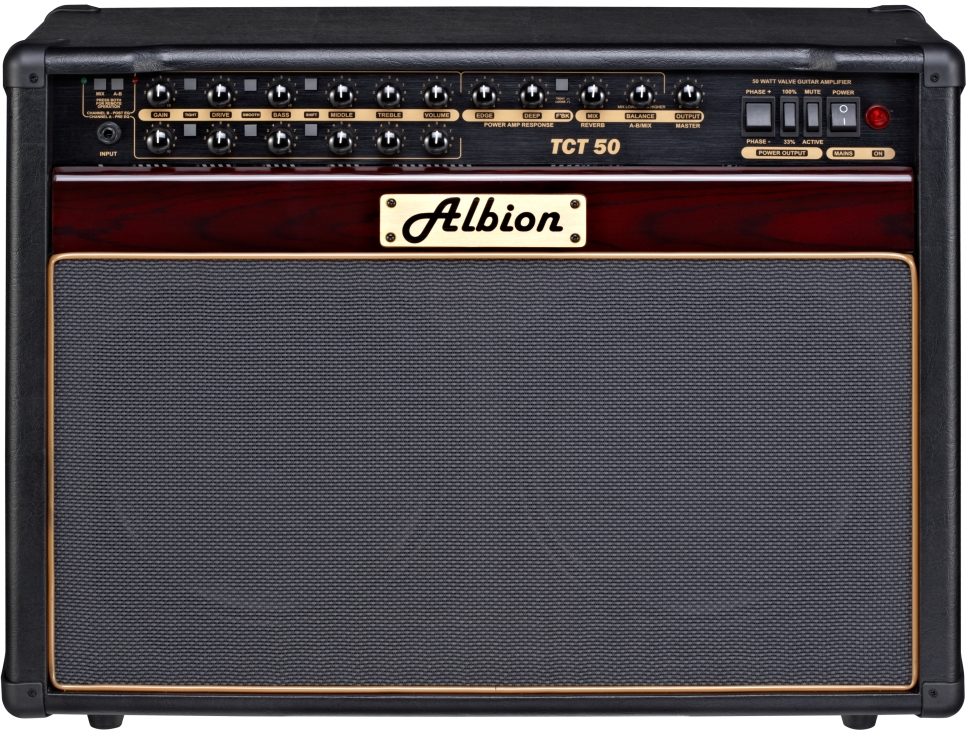 albion bass amp