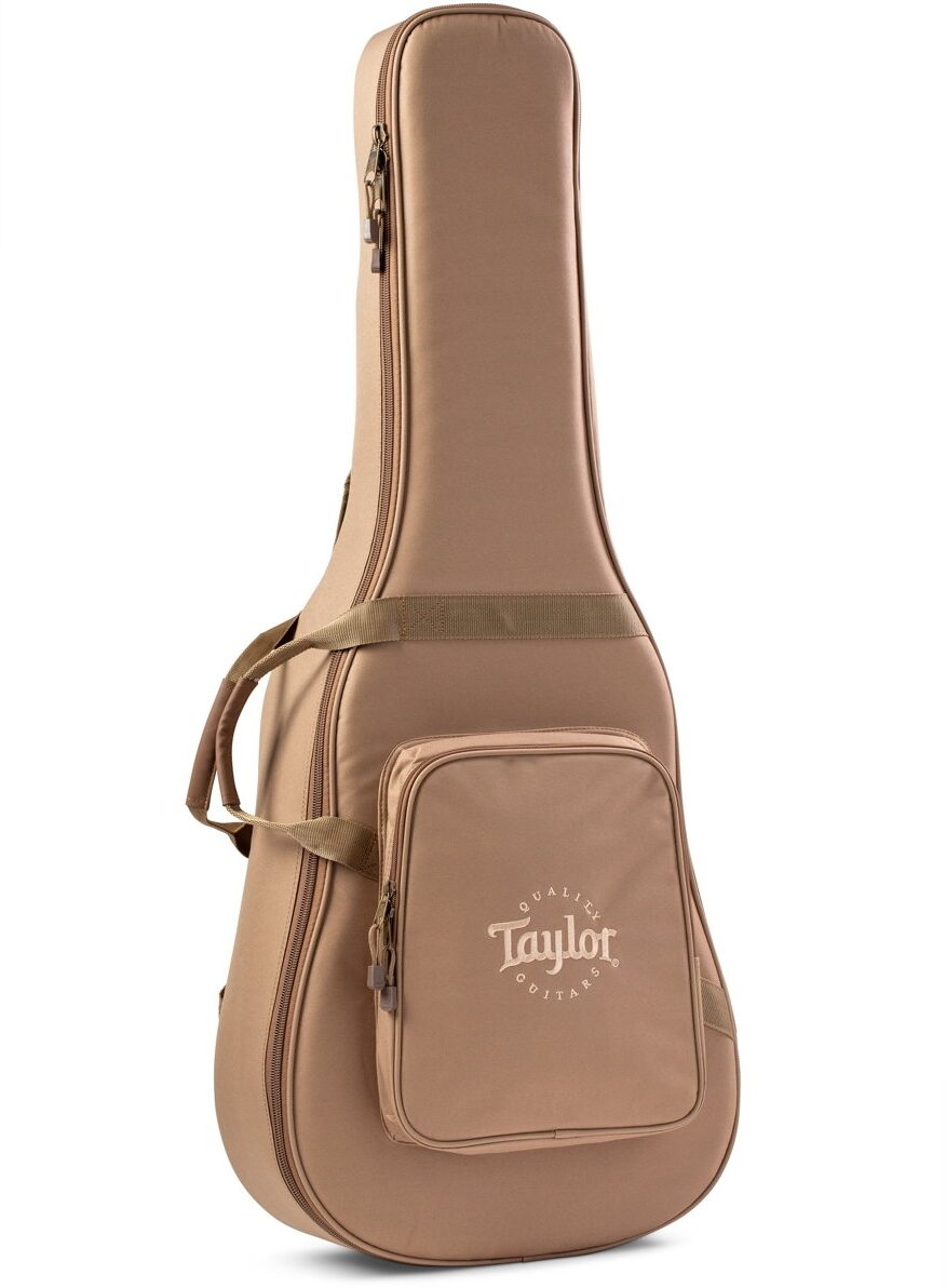 taylor dreadnought gig bag