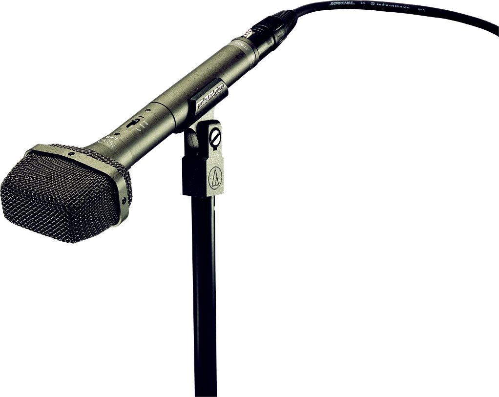 Audio Technica At822 Special Purpose Condenser Microphone