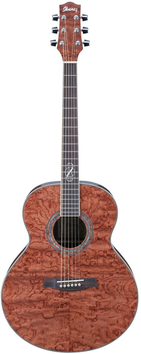 ibanez exotic wood ew20as acoustic guitar