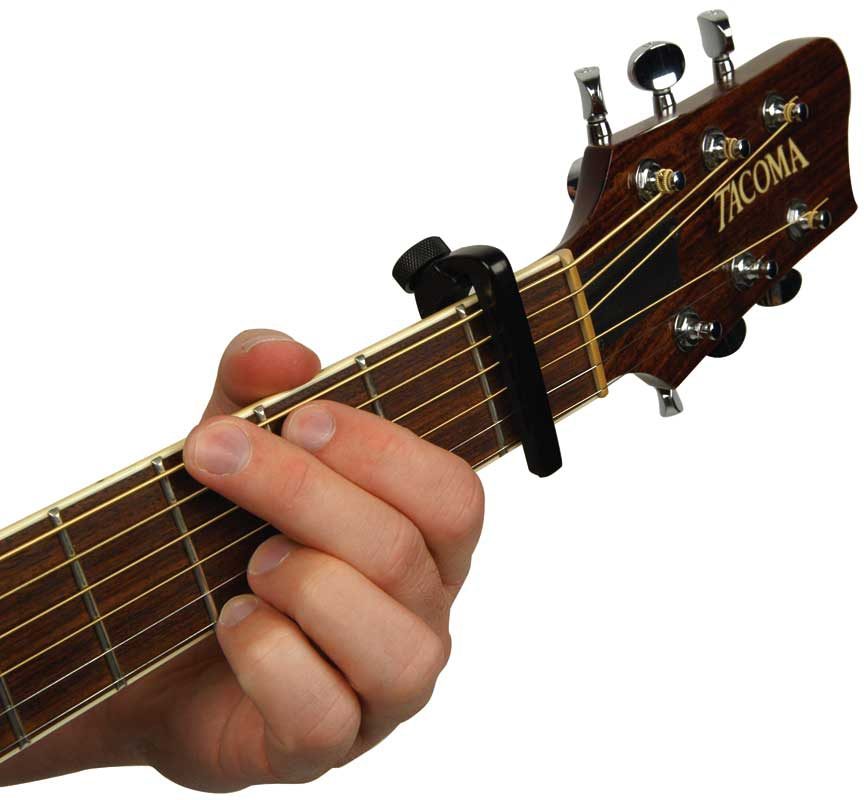 steinberger capo