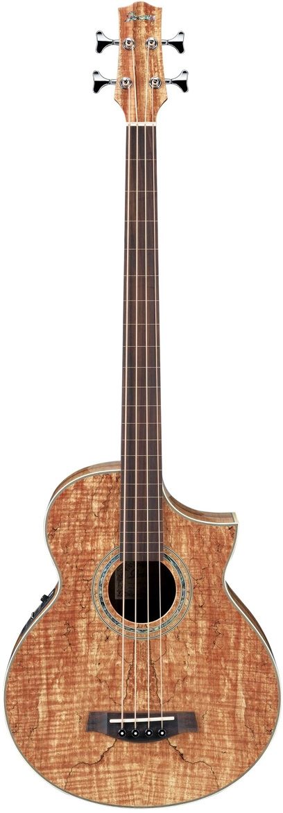 ibanez acoustic bass fretless