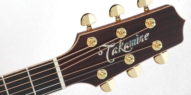 takamine pro series p7dc