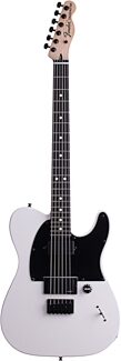 Fender Jim Root Telecaster Electric Guitar (with Case)