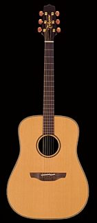 takamine an10 acoustic guitar