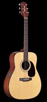 takamine eg 240 rs