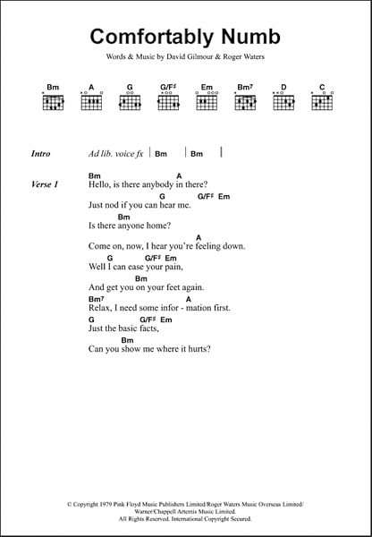 Comfortably Numb Guitar Chords Lyrics Zzounds