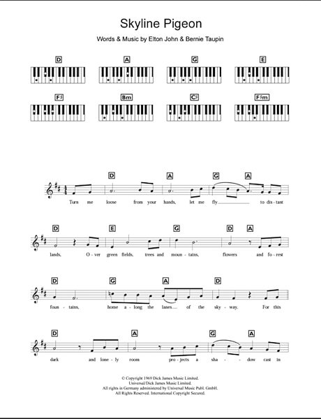 Skyline Pigeon Piano Chords Lyrics Zzounds