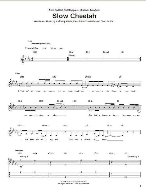 higher ground bass tab chili peppers