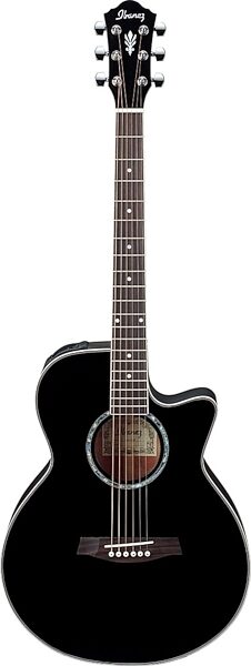 Ibanez AEG10 Acoustic-Electric Guitar With Fishman Pickup