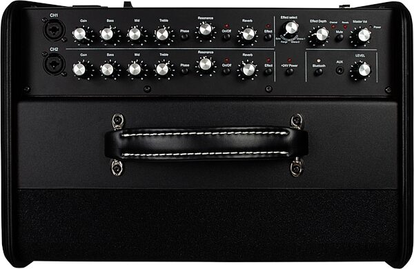 Godin Acoustic Solutions ASG-8 Amplifier (120 Watts), Black, Warehouse Resealed, Action Position Back