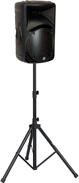 Mackie C300z Compact Passive, Unpowered 2-Way Loudspeaker (1x12"), New, On Stand (NOT Included)