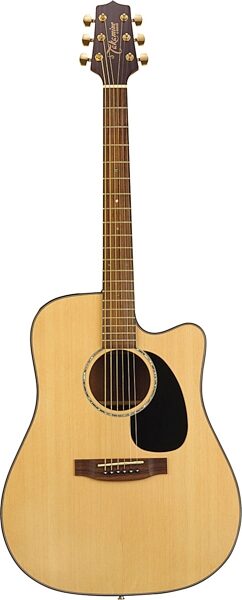 ashbury parlour guitar