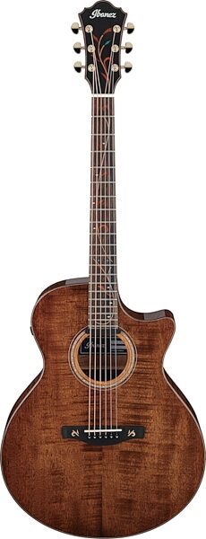 Ibanez AE295LTD Acoustic-Electric Guitar, Natural High Gloss, Action Position Back