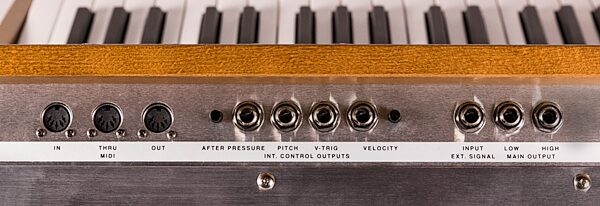 Moog Minimoog Model D Analog Synthesizer, Output Jacks and MIDI