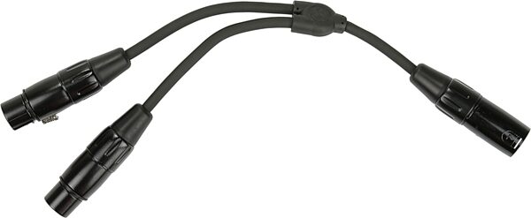 Pig Hog Y-Cable, XLR Male to Dual XLR Female, 6&quot;, Action Position Back