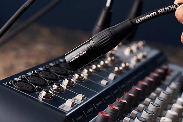 Warm Audio Pro-XLR Pro Series XLR Cable, 3', In Use