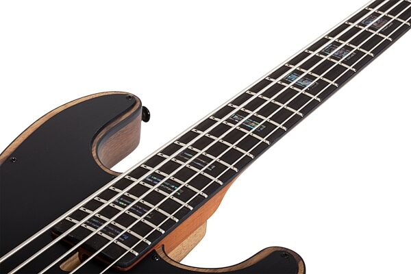 Schecter Model-T 5 Exotic Electric Bass, Black Limba, Action Position Back