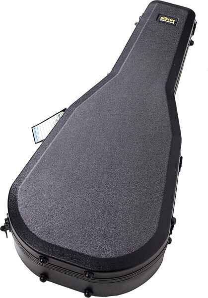 Schecter SGR13AC Acoustic Guitar Case, New, Action Position Back