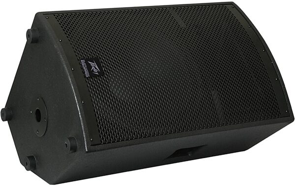 Peavey SP2 II Passive, Unpowered 2-Way PA Speaker (1000 Watts, 1x15"), New, Monitor