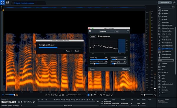 iZotope RX 8 Advanced Audio Processing and Restoration Software, Boxed, Action Position Back