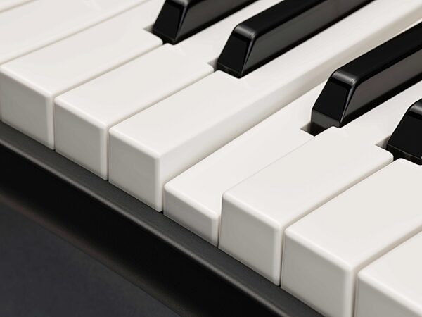 Yamaha YC61 Stage Keyboard, 61-Key, New, Keys Detail