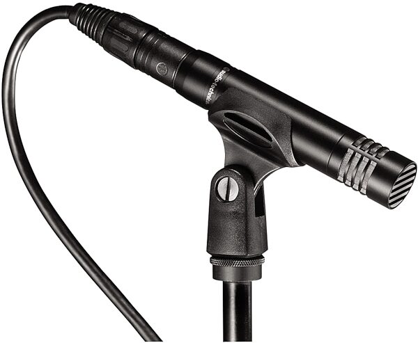 Audio-Technica AT2021 Small-Diaphragm Condenser Microphone, New, On Stand