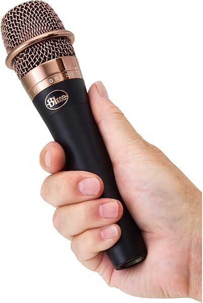 Blue enCORE 200 Dynamic Vocal Microphone, In Use