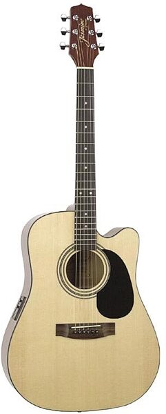 takamine es45c