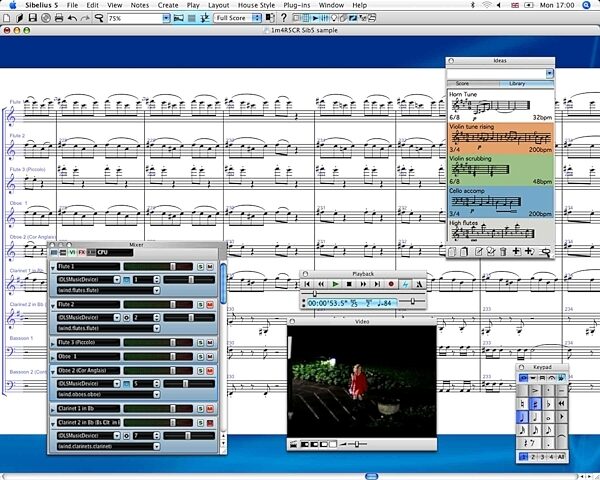 Sibelius Music Notation Software (Macintosh and Windows), Screenshot