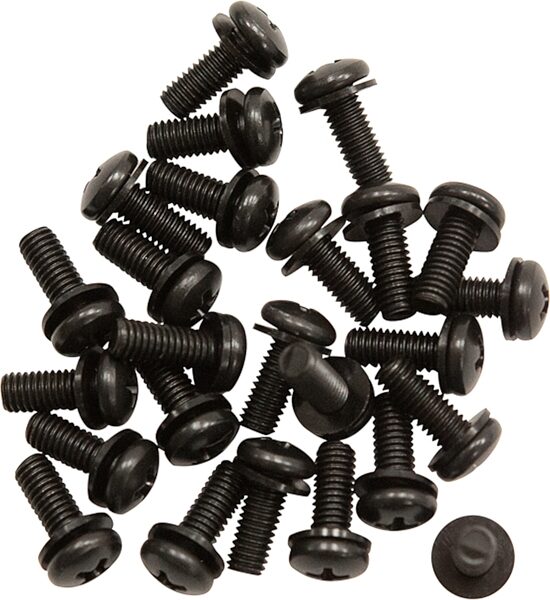 SKB Rack RS25 Screws and Washers, 25-Pack, Action Position Back