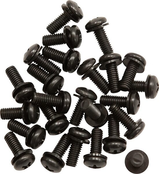SKB Rack RS25 Screws and Washers, 25-Pack, Main