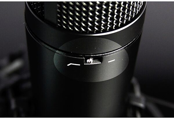 TASCAM TM-180 Large-Diaphragm Studio Condenser Microphone, New, Alt
