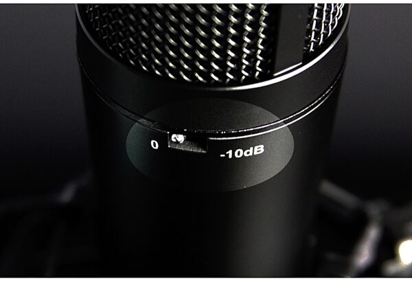 TASCAM TM-180 Large-Diaphragm Studio Condenser Microphone, New, Alt