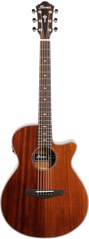 Ibanez AEG220 Acoustic-Electric Guitar, Natural Low Gloss, Full Straight Front