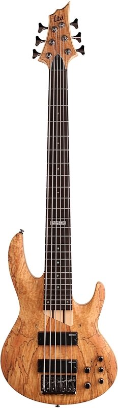 ESP LTD B206SM Electric Bass, 6-String, Natural Satin, Full Straight Front