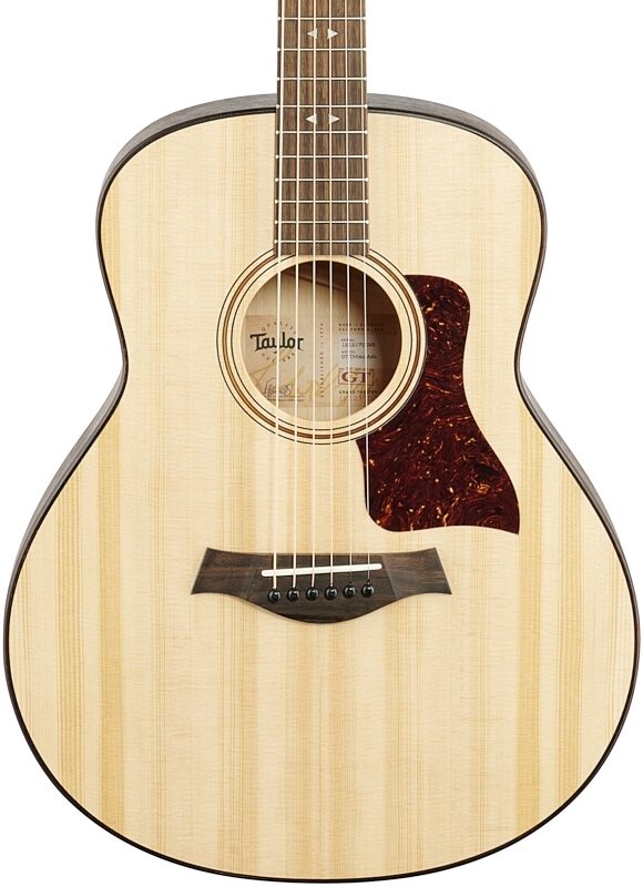 Taylor GT Grand Theater Acoustic Guitar (with Hard Bag), Urban Ash, Body Straight Front