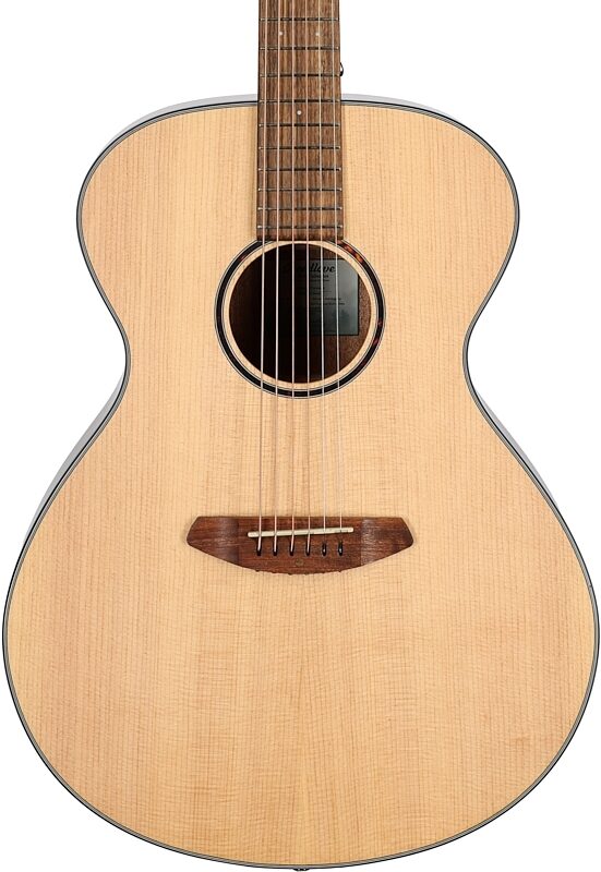 Breedlove ECO Discovery S Concerto Dreadnought Acoustic Guitar, Sitka/Mahogany, Body Straight Front