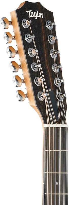 Taylor 254ce Grand Auditorium Rosewood Acoustic-Electric Guitar, 12-String (with Gig Bag), New, Headstock Left Front