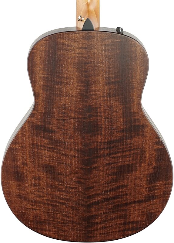 Taylor GTe Grand Theater Acoustic-Electric Guitar (with Hard Bag), Urban Ash, Body Straight Back