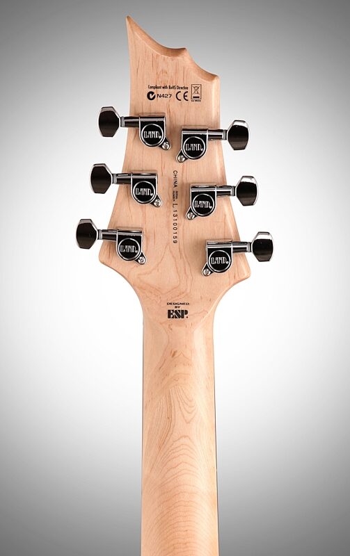 ESP LTD F10 10 Series Electric Guitar, Black, with Gig Bag, Headstock Straight Back