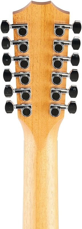 Taylor 254ce Grand Auditorium Rosewood Acoustic-Electric Guitar, 12-String (with Gig Bag), New, Headstock Straight Back
