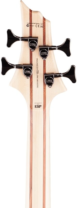 ESP LTD B204SM Electric Bass, Natural Satin, Headstock Straight Back