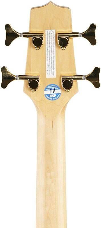 Takamine GB72CE Jumbo Acoustic-Electric Bass, Natural, Headstock Straight Back