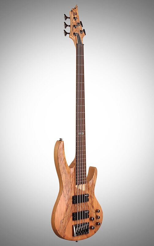 ESP LTD B-205SM Fretless Electric Bass, 5-String, Natural Satin, Body Left Front